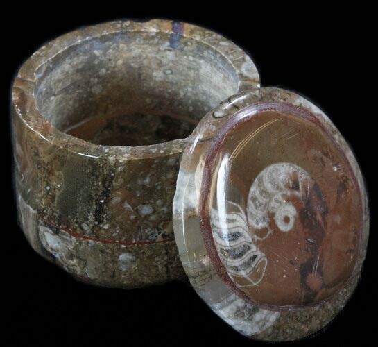 Small Fossil Goniatite Jar (Brown) - Stoneware #35183